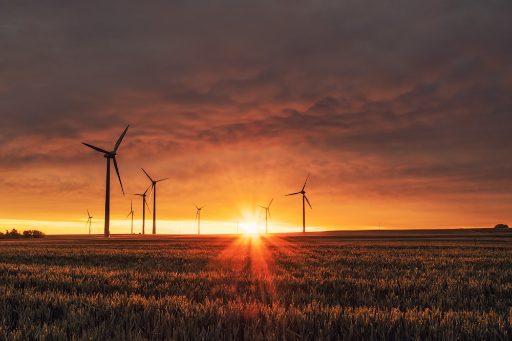 Rüzgâr türbinleri ve yenilenebilir enerji